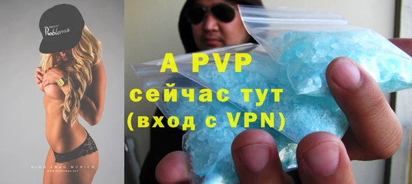 стаф Елабуга