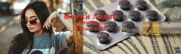 a pvp Ельня