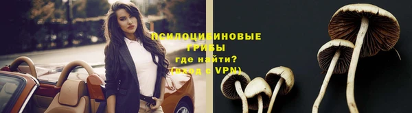 стаф Елабуга