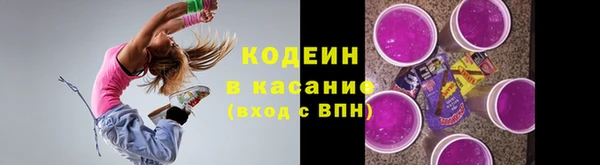 a pvp Ельня