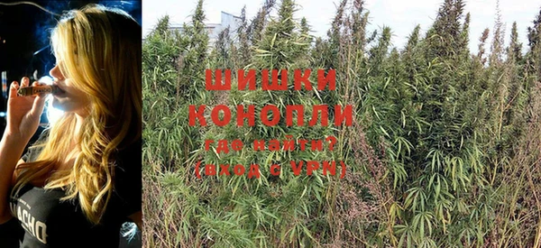стаф Елабуга