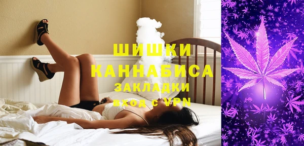 эйфоретик Елизово