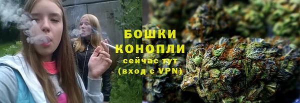 эйфоретик Елизово