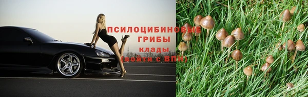 a pvp Ельня